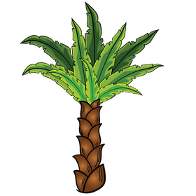 Beach tree clipart
