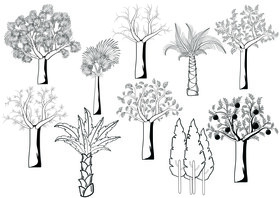 Trees set black and white vector