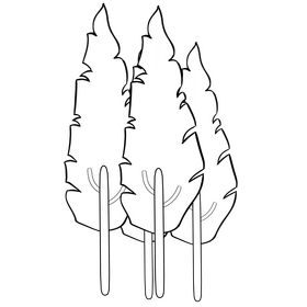 Trees black and white clipart