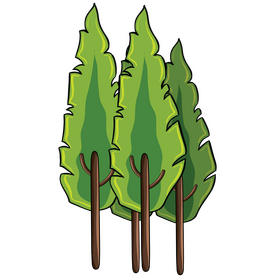 Trees clipart