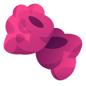Raspberry clipart