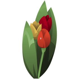 Tulips clipart