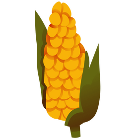 Corn clipart