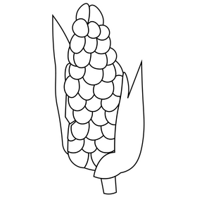 Corn drawing black and white clipart