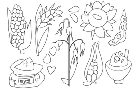 Cereal images set black and white vector