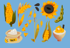 Cereal images set vector