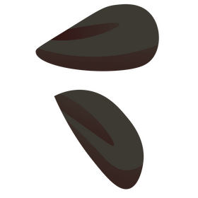 Cereals seed clipart