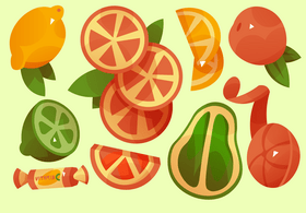 Citrus fruits set vector