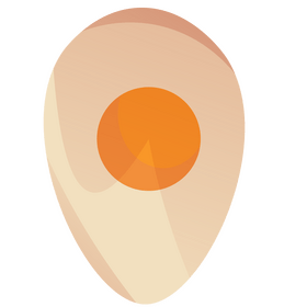 Egg half clipart