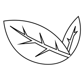 Leaves flat design black and white clipart