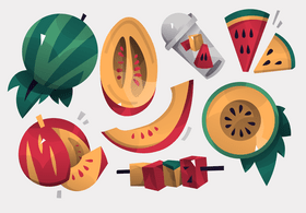 Bright set of fresh melon watermelon flat design vector