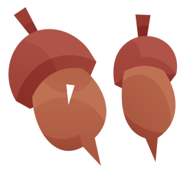 Acorn flat cartoon clipart