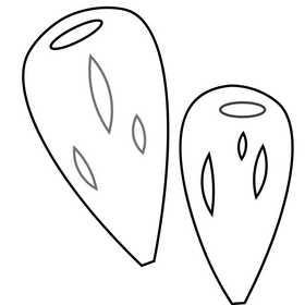 Almond black and white clipart