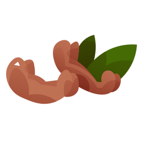 Cashew clipart