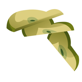 Pear slices flat clipart