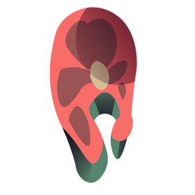 Seafood fish slice clipart