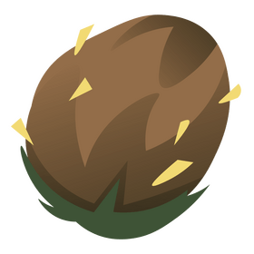 Coconut tropical fruit clipart