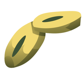 Tropical fruit slice clipart