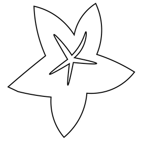 Starfruit tropical fruit black and white clipart