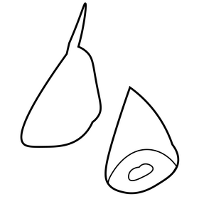 Ukrainian garlic black and white clipart