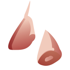 Ukrainian garlic clipart