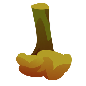 Cauliflower vegetable clipart