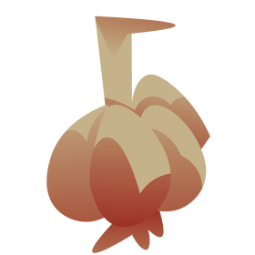 Garlic vegetable clipart