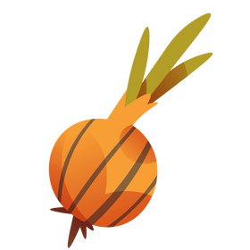 Onion vegetable clipart