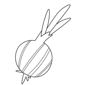 Onion vegetable drawing black and white clipart