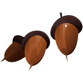 Thanksgiving acorns clipart