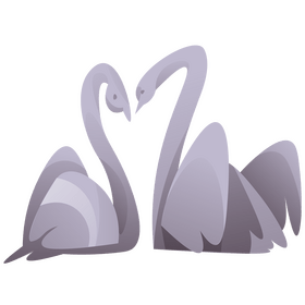 Swan couple clipart