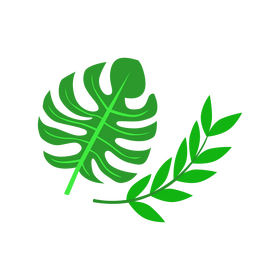 Leaf clipart