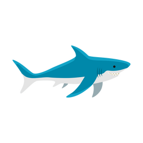 Shark clipart
