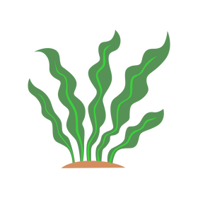 Seaweed clipart