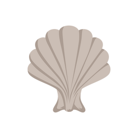 Shell clipart