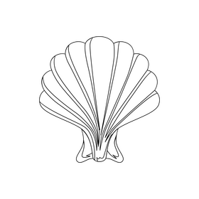 Shell drawing black and white clipart