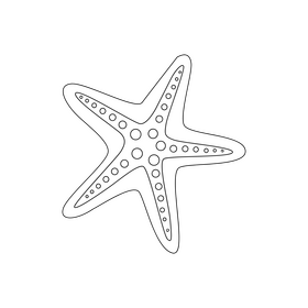Starfish drawing black and white clipart