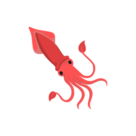 Squid clipart
