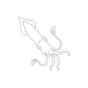 Squid drawing black and white clipart