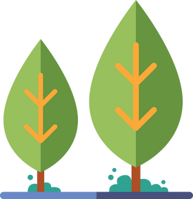 Park trees flat icon clipart