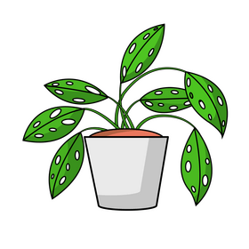 Decorative plant, plant in pot, greenhouse clipart