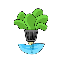 Greenhouse hydroponics plant clipart