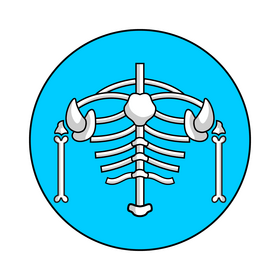 Bone human body structure clipart