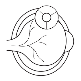 Human eye retina black and white clipart