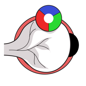 Human eye retina clipart