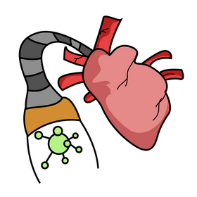 Human heart organ function, get rid of metabolism waste clipart