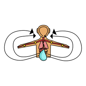 Heart organ left ventricle clipart