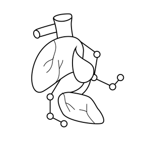 Heart organ right atrium black and white clipart