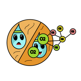 Human heart organ function, prevent mixing of oxygen with blood clipart