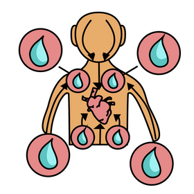 Human heart organ function, blood circulation clipart